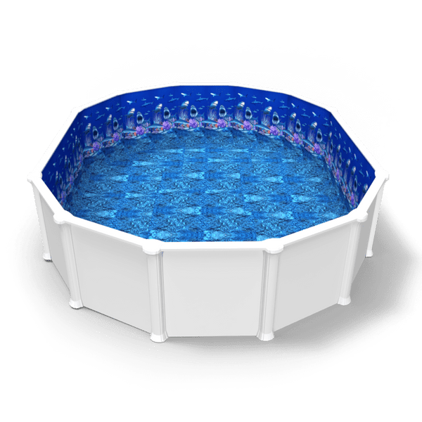 Shark Nation ~ Oval Beaded